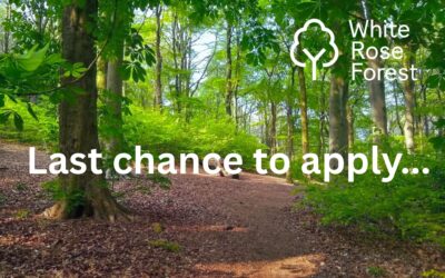 Last chance to apply for the role of White Rose Forest Programme Manager